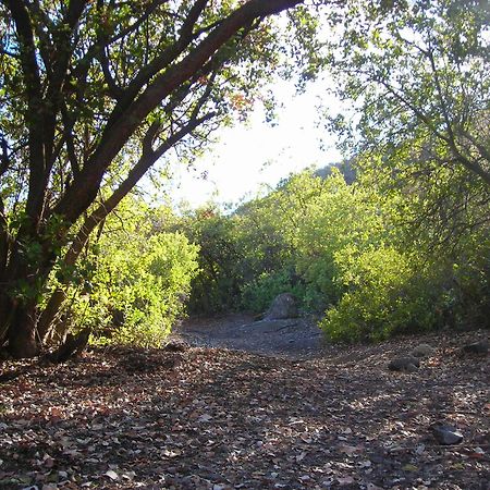 Las Lomitas De Guayacan, Cabanas Y Spa San José de Maipo Εξωτερικό φωτογραφία
