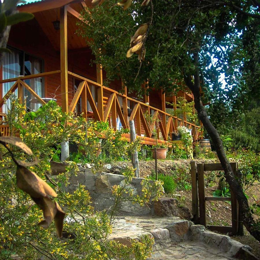Las Lomitas De Guayacan, Cabanas Y Spa San José de Maipo Εξωτερικό φωτογραφία